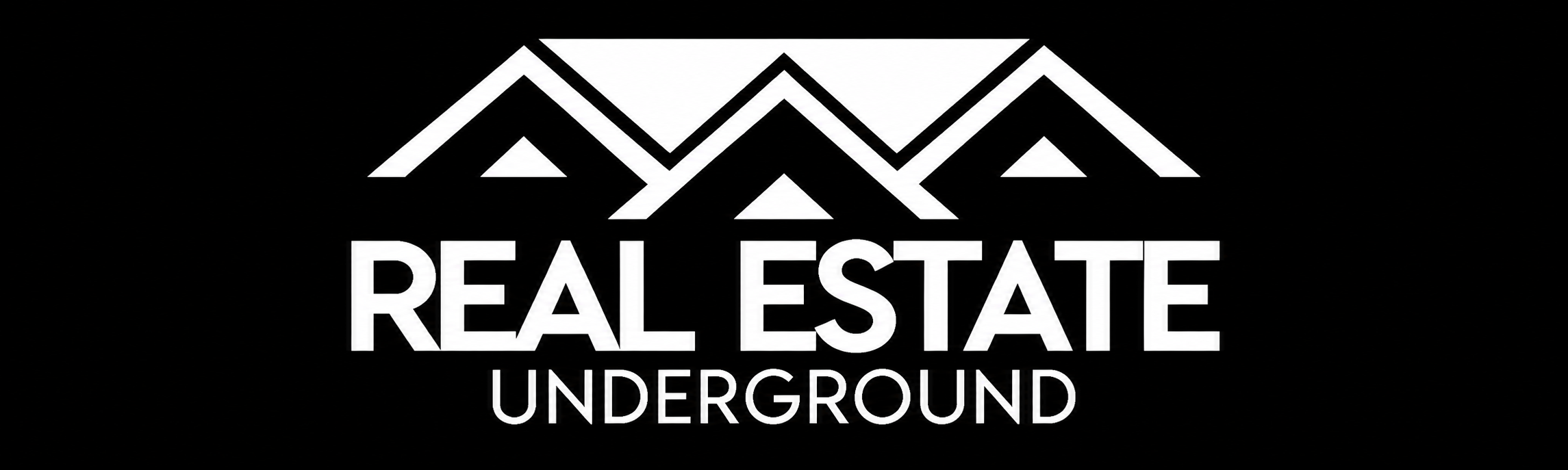 Real Estate Underground logo